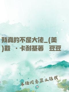 我真的不是大佬